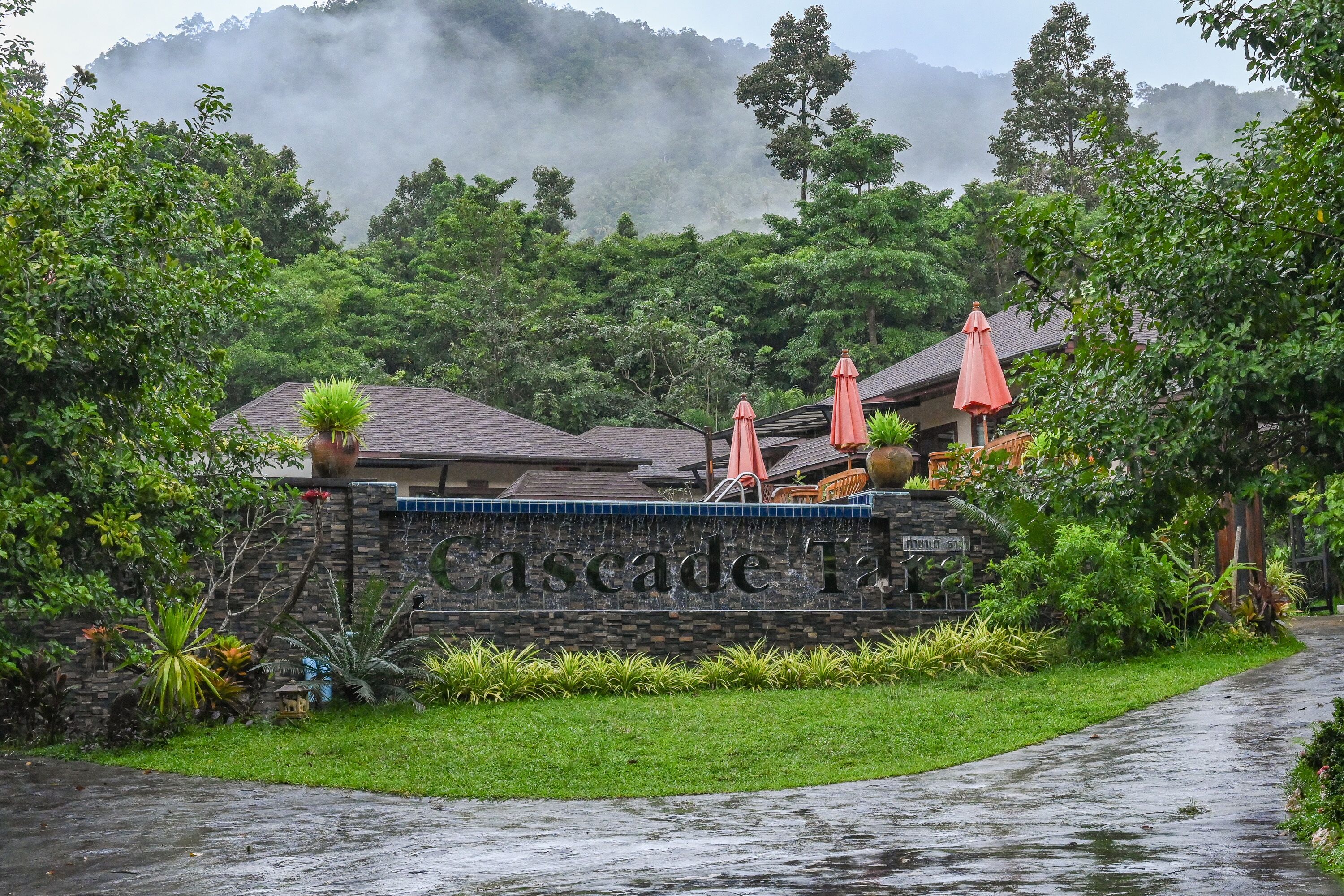 Photo - Cascade Tara