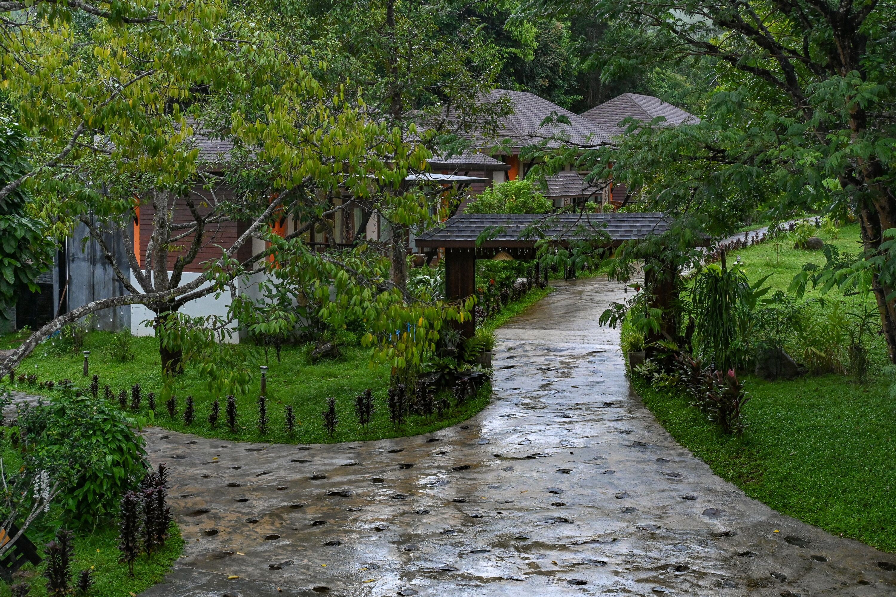 Photo - Cascade Tara