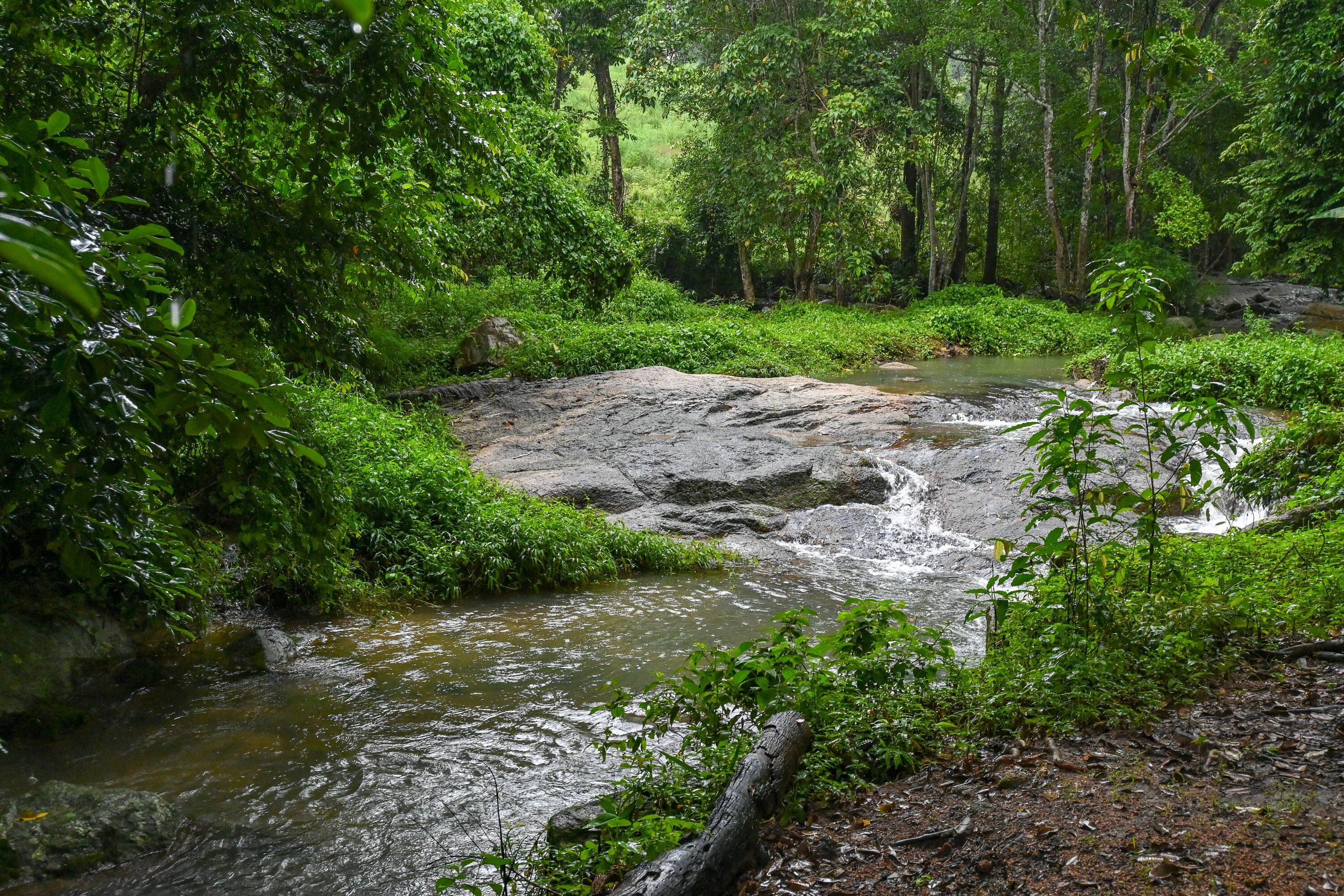 Photo - Cascade Tara