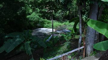 Un espacio natural al aire libre con un arroyo, follaje denso y una barandilla de madera.
