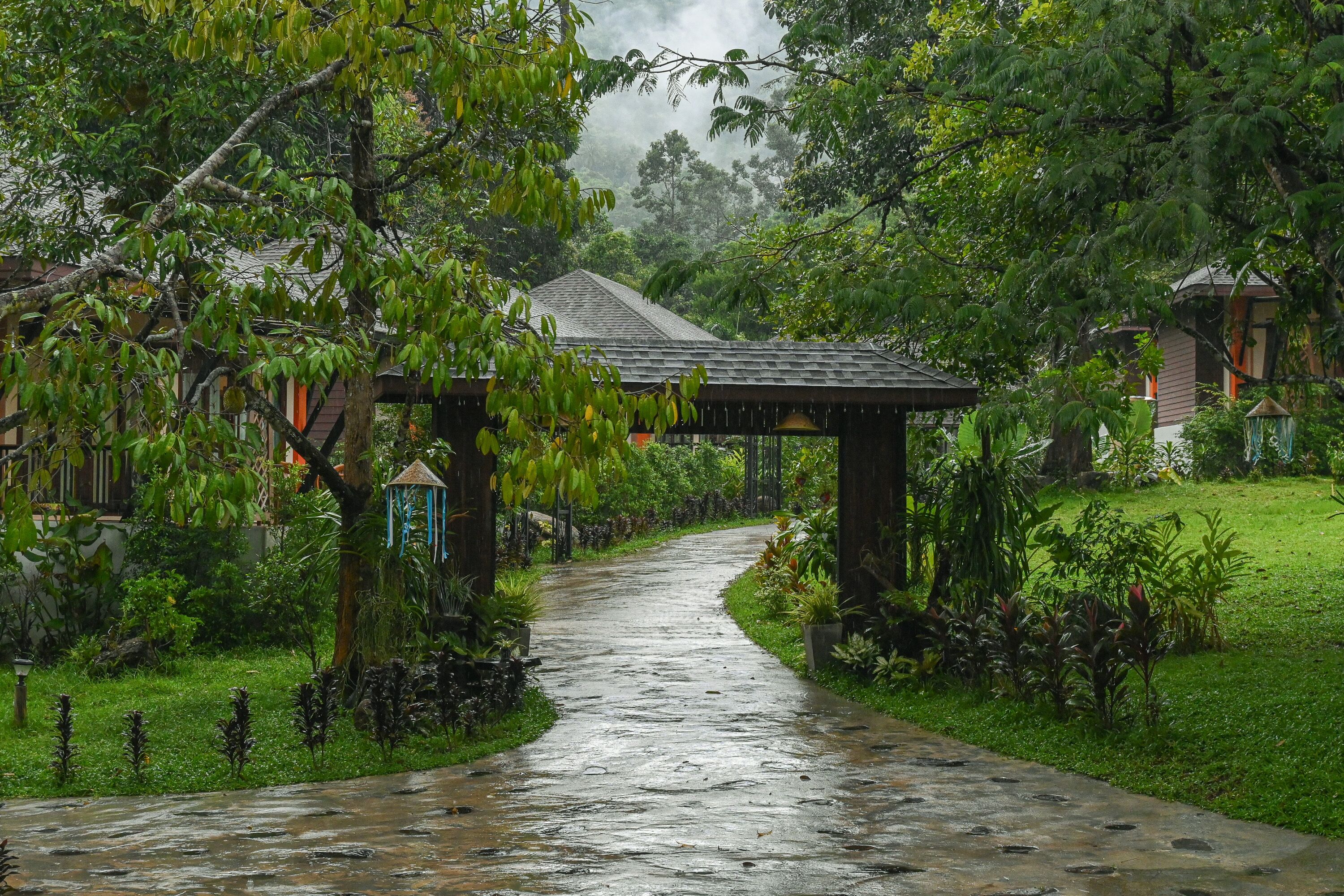 Photo - Cascade Tara