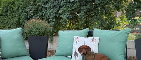 Terrein van de accommodatie