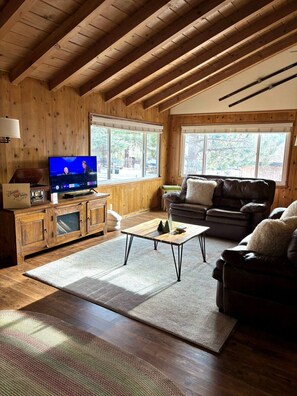 TV, books, music library, stereo