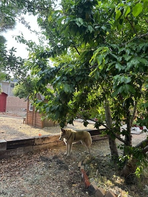 Terrain de lâhĂ©bergement