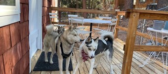 Rustic Retreat|Pets OK, Near Village, Fireplace