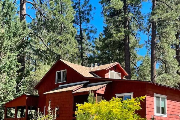 Charming red cabin nestled in the pines, with modern comforts and a prime location.