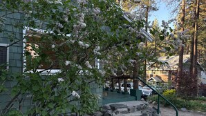 A stone staircase leading to a porch with a green railing, surrounded by trees and a building with a sloped roof. - Peaceful Pines Stuga Near Ski Resort & Village (Wrightwood)