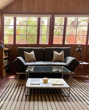 TV connectée, cheminée, livres