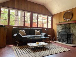 Smart TV, fireplace, books