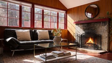 Televisor intel·ligent, llar de foc i llibres