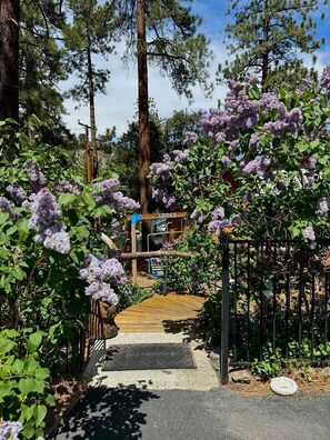 المنطقة المحيطة بالمنشأة