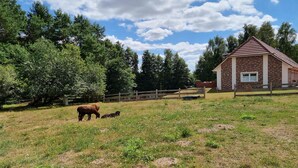 Un paysage rural avec une grange en bois, un pâturage clôturé et une variété d’arbres.