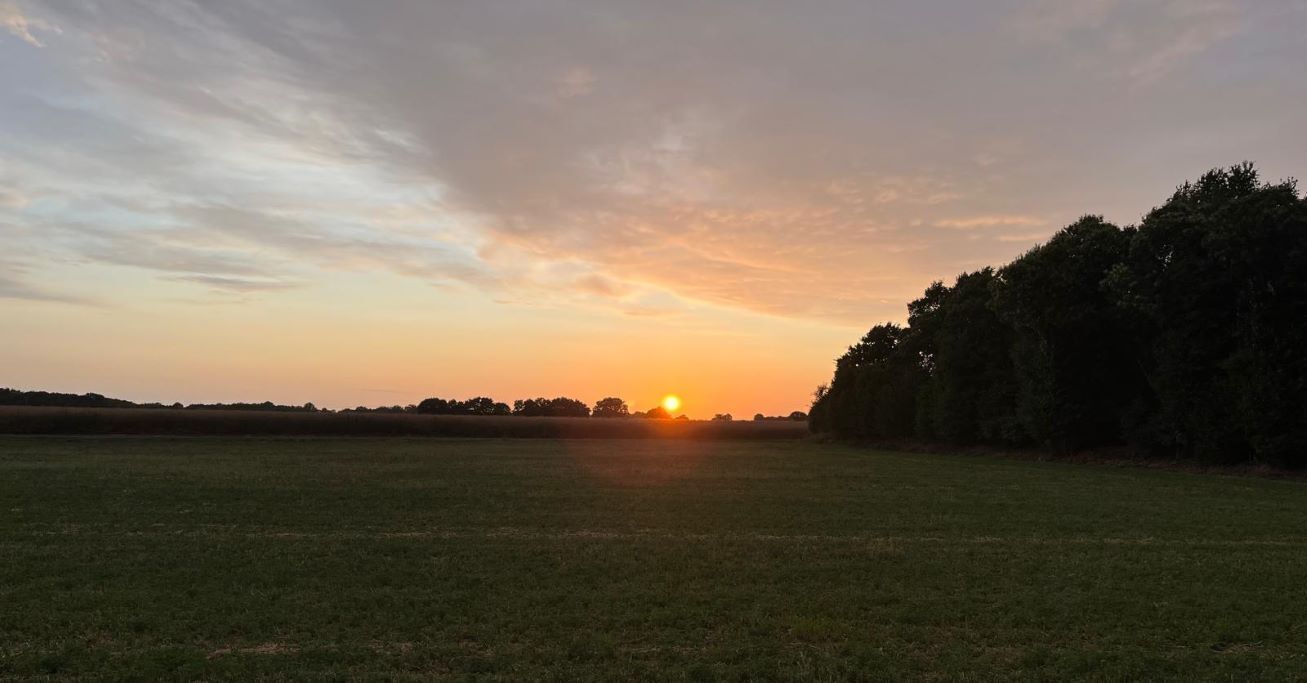 Laaja, avoin pelto, ja kauempana horisontissa auringonlasku.