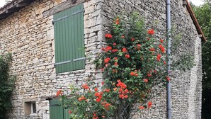 Un bâtiment en pierre avec une porte et des volets verts, entouré d’un jardin où poussent des fleurs rouges et de la verdure.