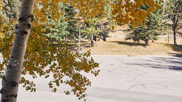 Un parcheggio alberato.