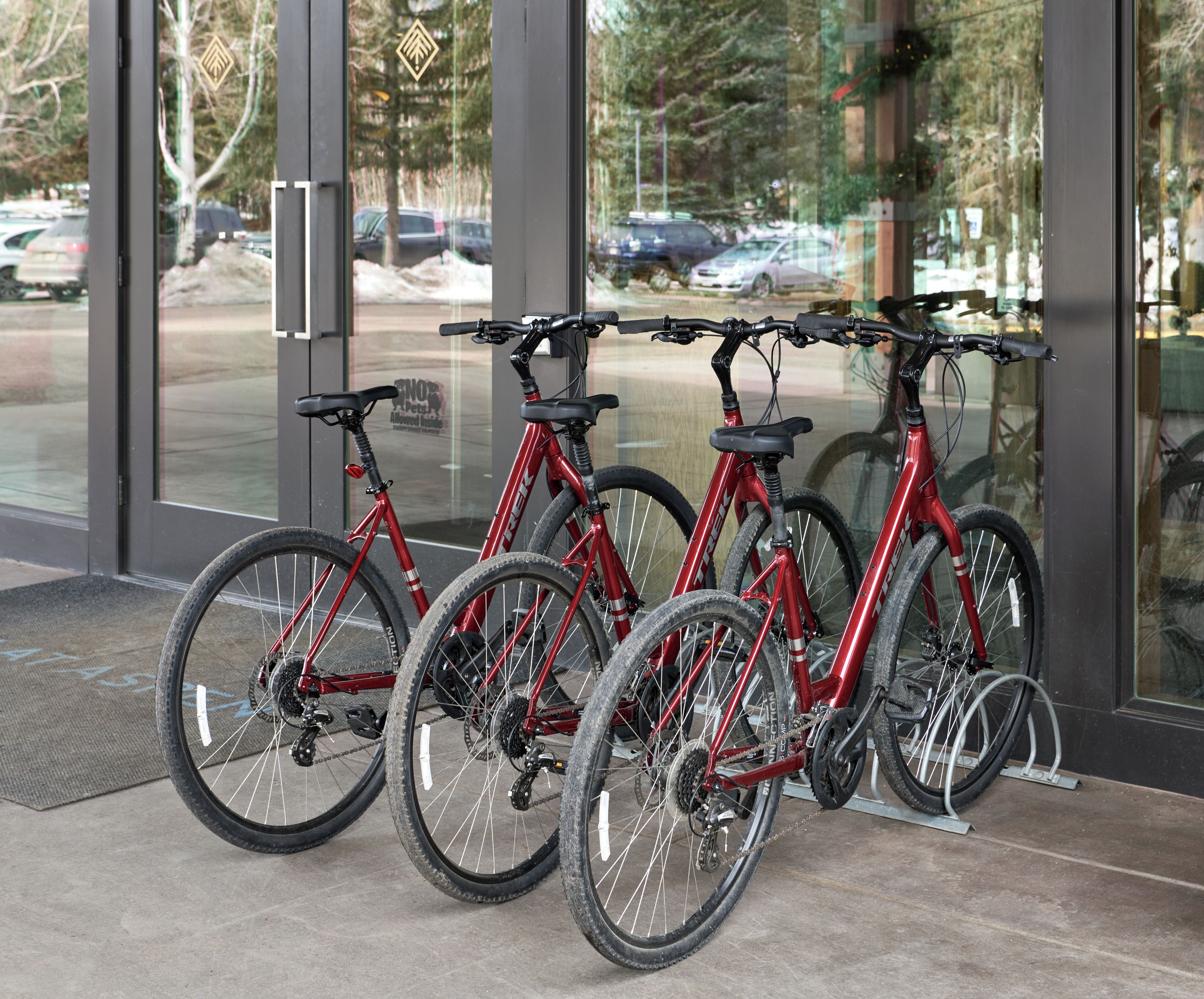 Varias bicicletas rojas estacionadas en un interior, con una puerta de vidrio que da a un área de estacionamiento exterior.