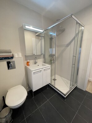 Shower, hair dryer