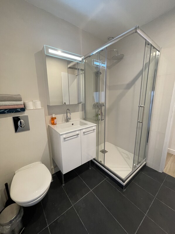 Shower, hair dryer