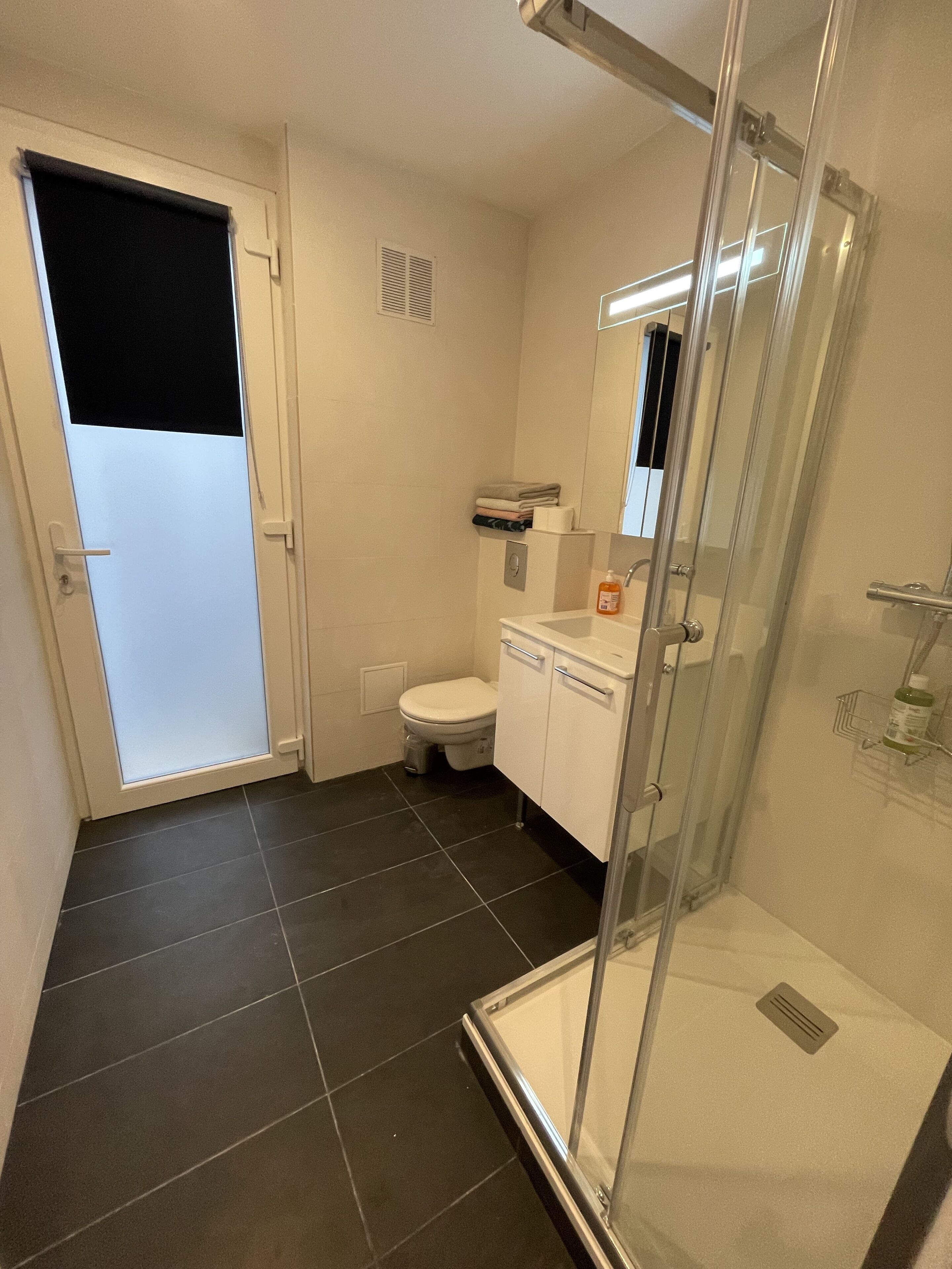 A modern bathroom with a glass shower enclosure, a toilet, and a sink with a mirror.