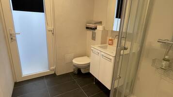 A modern bathroom with a glass shower enclosure, a toilet, and a sink with a mirror.