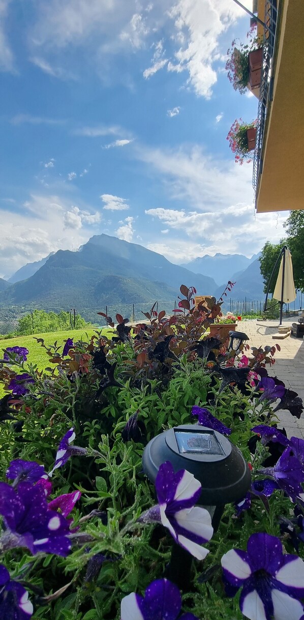 Exterior - Lo Noyer Et Les Roses (Saint-Nicolas)