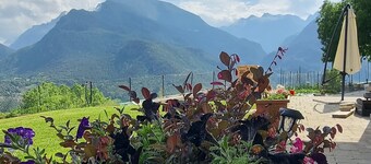 Lo Noyer Et Les Roses