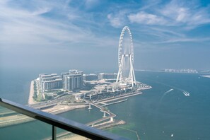 Un paisaje urbano costero con una noria destacada, edificios modernos y un puerto deportivo.