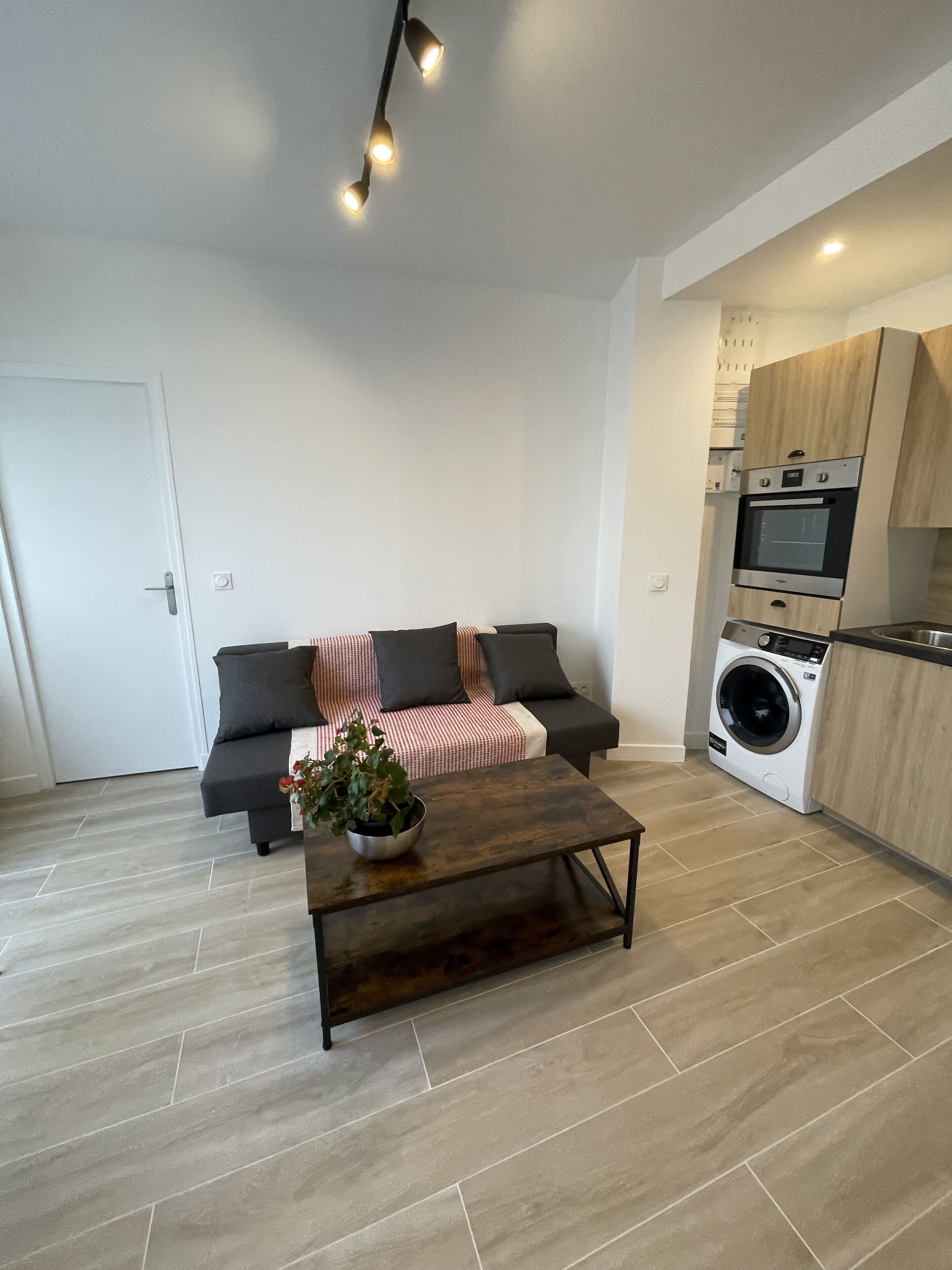 A modern apartment with a sofa, a coffee table with a plant, a washing machine, and a kitchen area.