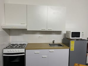 Appartement, 1 grand lit | Cuisine privée | Réfrigérateur, micro-ondes, four, plaque de cuisson