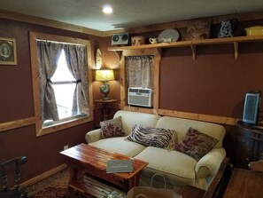 Flachbildfernseher, DVD-Player, Bücher, Videothek