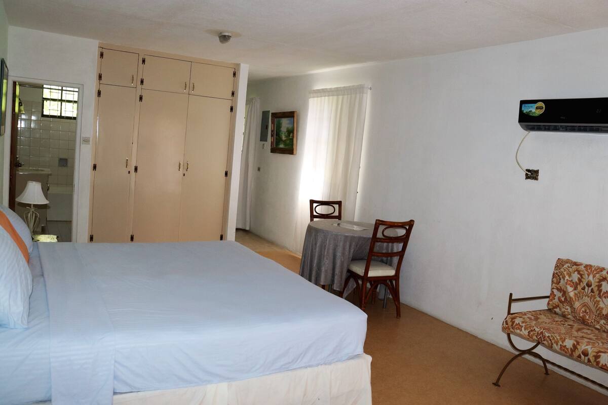 Grand Apartment