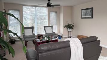 TV connectée, cheminée, jeux vidéo, livres