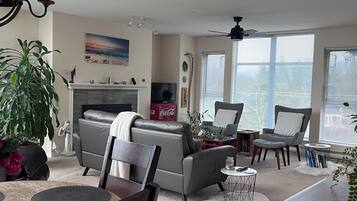 TV connectée, cheminée, jeux vidéo, livres