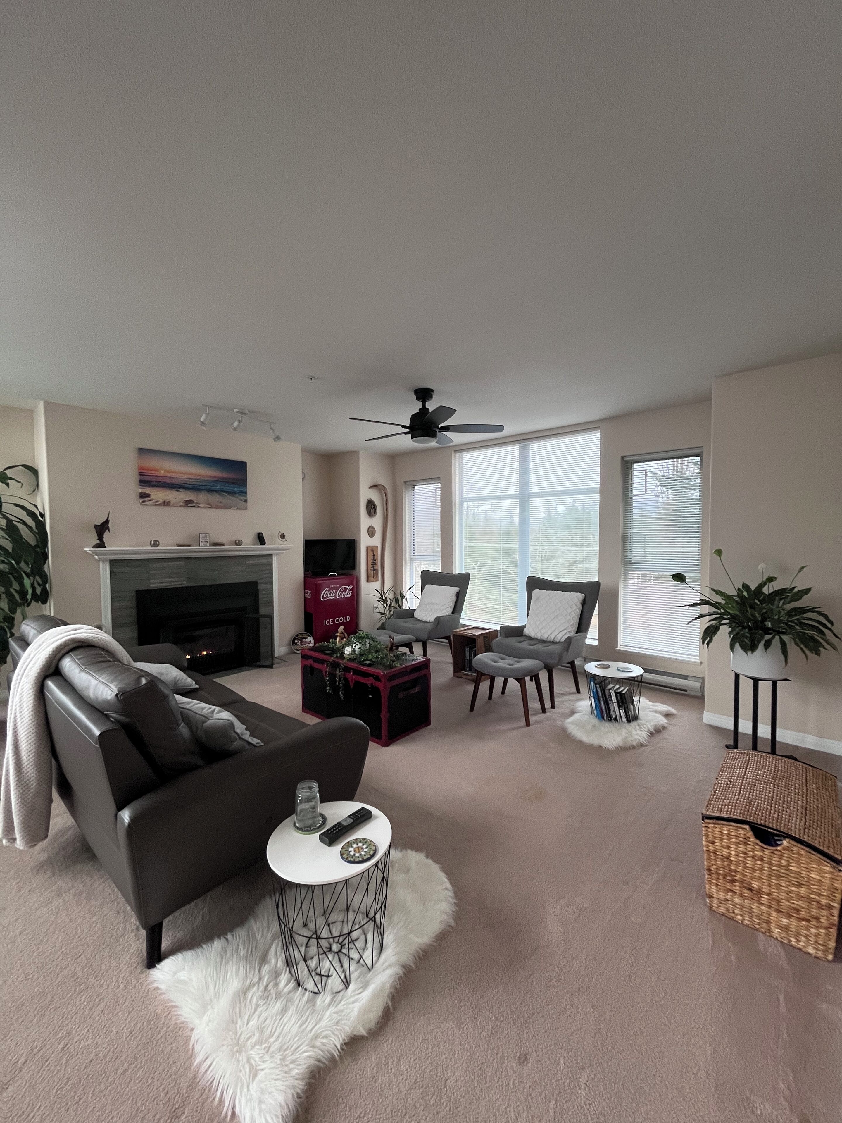 智能電視、壁爐、電子遊戲、書籍