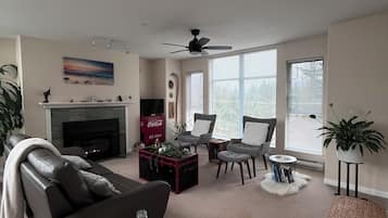 Smart TV, fireplace, video games, books