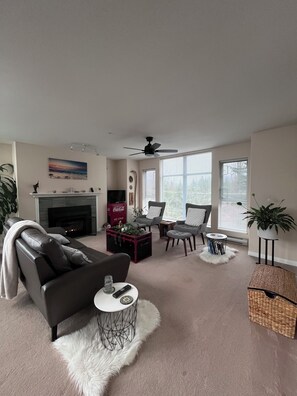 TV connectée, cheminée, jeux vidéo, livres