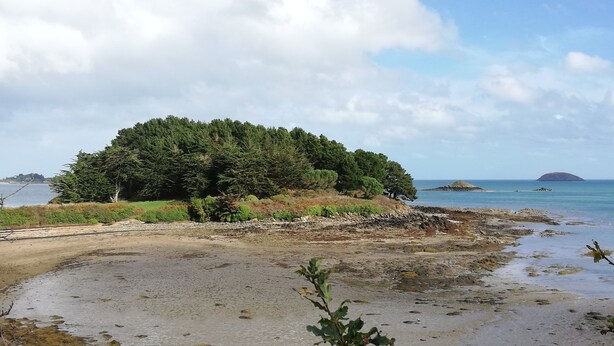 Eine Küstenlandschaft mit Sandstrand, einer kleinen Insel mit dichter Vegetation und ruhigem Meer.
