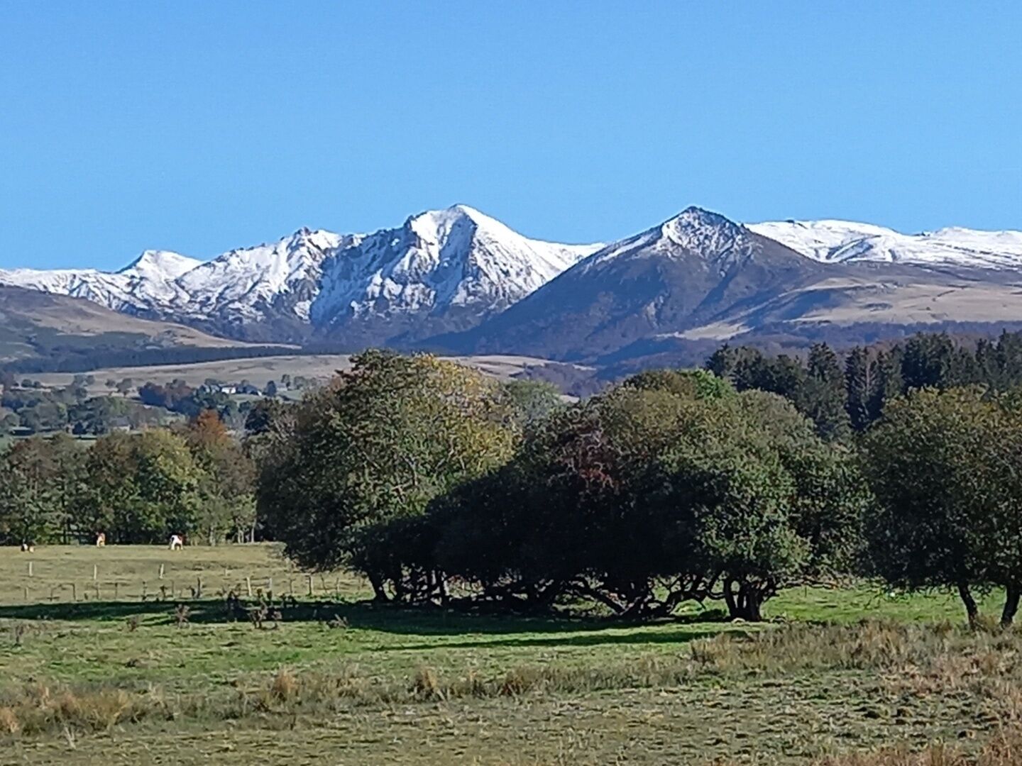 A mountainous landscape with snow-capped peaks and a foreground of trees.