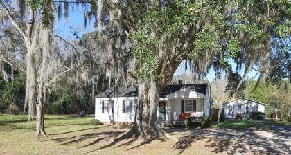 Summertime Pet-friendly 30 min Savannah