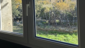 Une fenêtre offrant une vue dégagée sur un paysage vallonné, avec des arbres et une zone herbeuse.