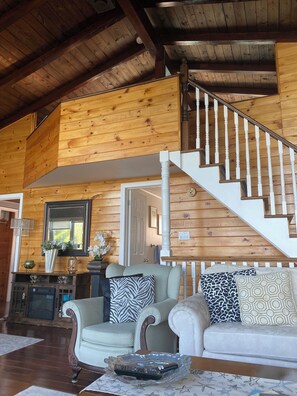 Smart TV, fireplace, video games, books