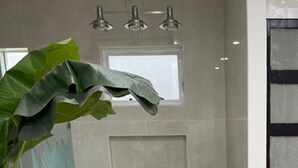 Une salle de bain moderne avec une grande baignoire, une petite fenêtre et une plante en pot.