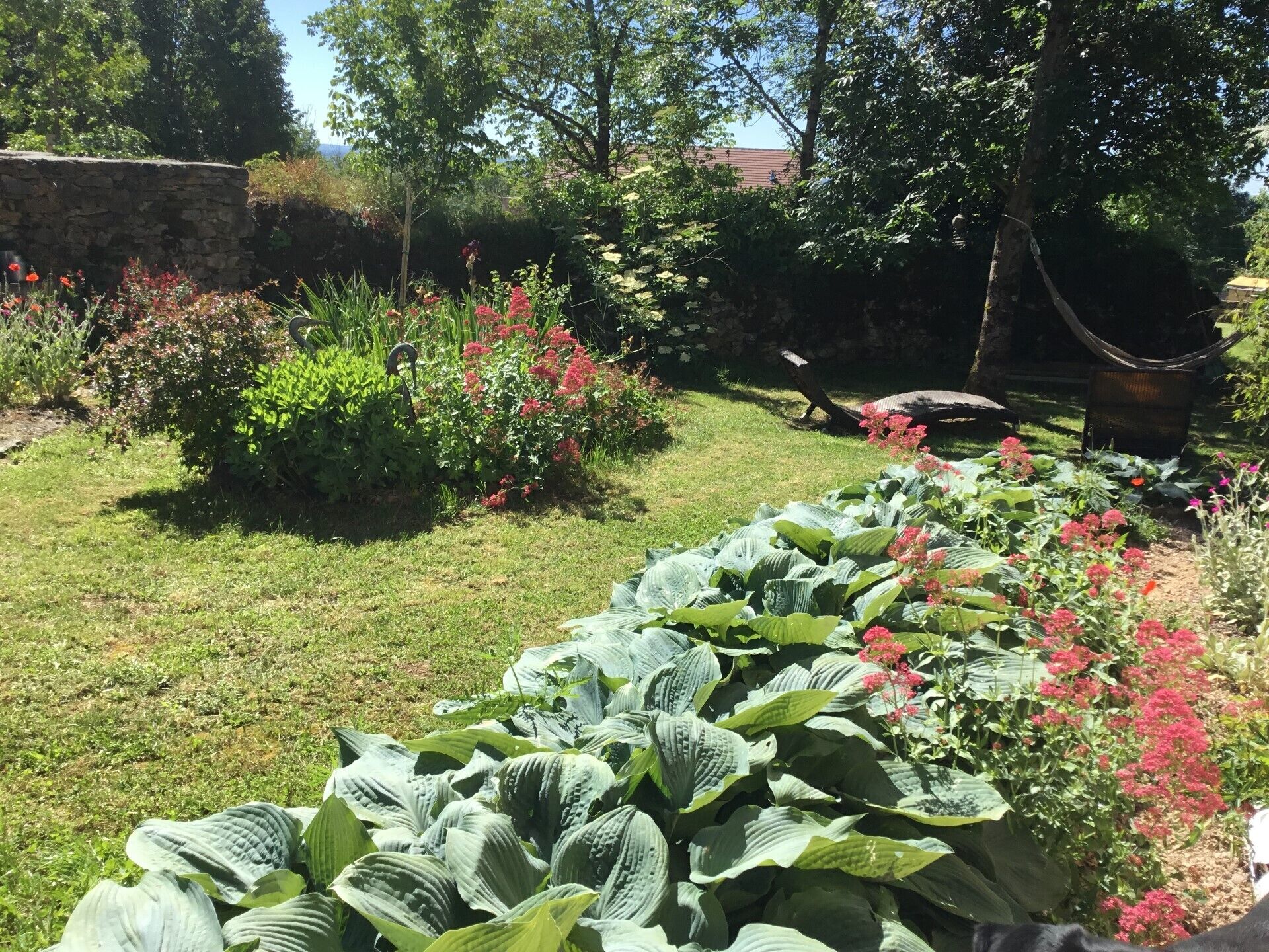 Un jardín con diversas plantas y flores, un muro de piedra y un banco de madera.