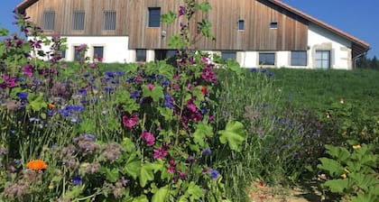 Der Charakter eines alten Bauernhofs im Herzen der Natur