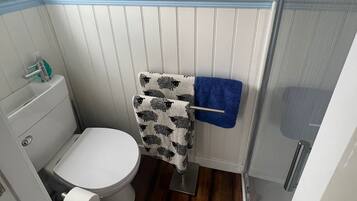 Shower, towels, soap, toilet paper