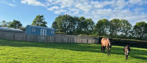 Terrein van de accommodatie