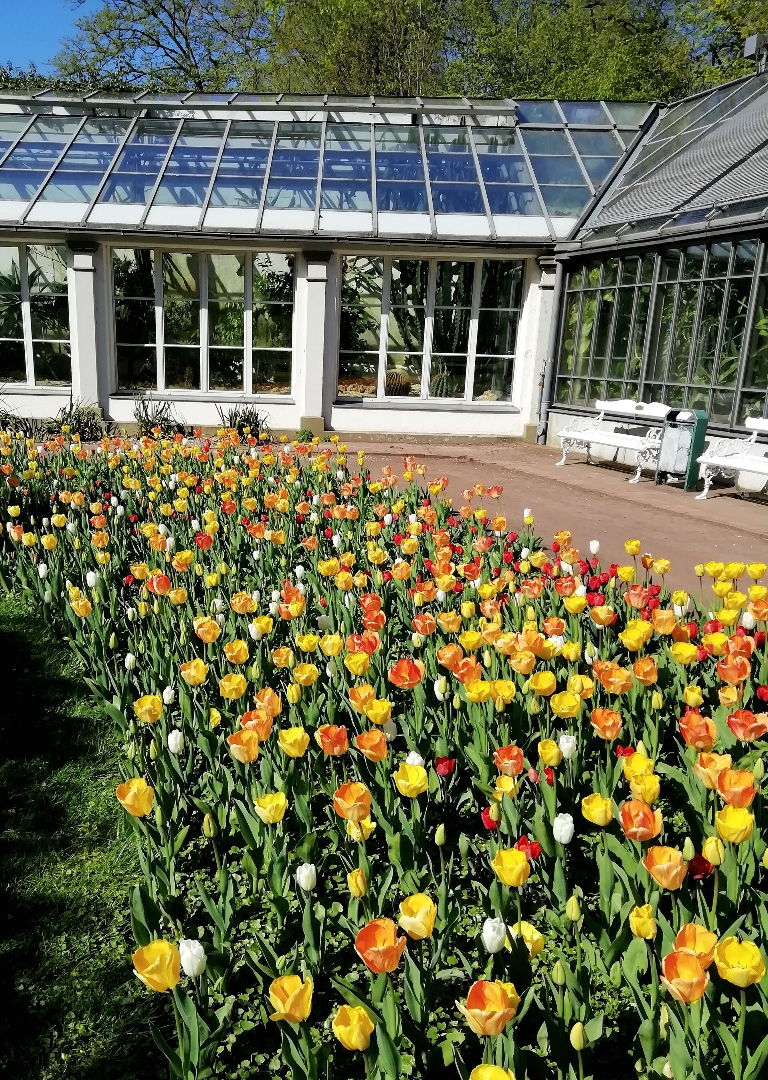 Tropenhaus im Schlosspark