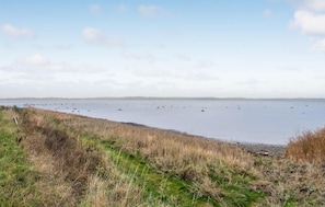 In Strandnähe, Angeln