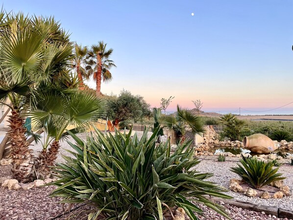 Ein Garten mit Palmen und Agaven, eine Steinmauer und ein Blick auf die Landschaft.