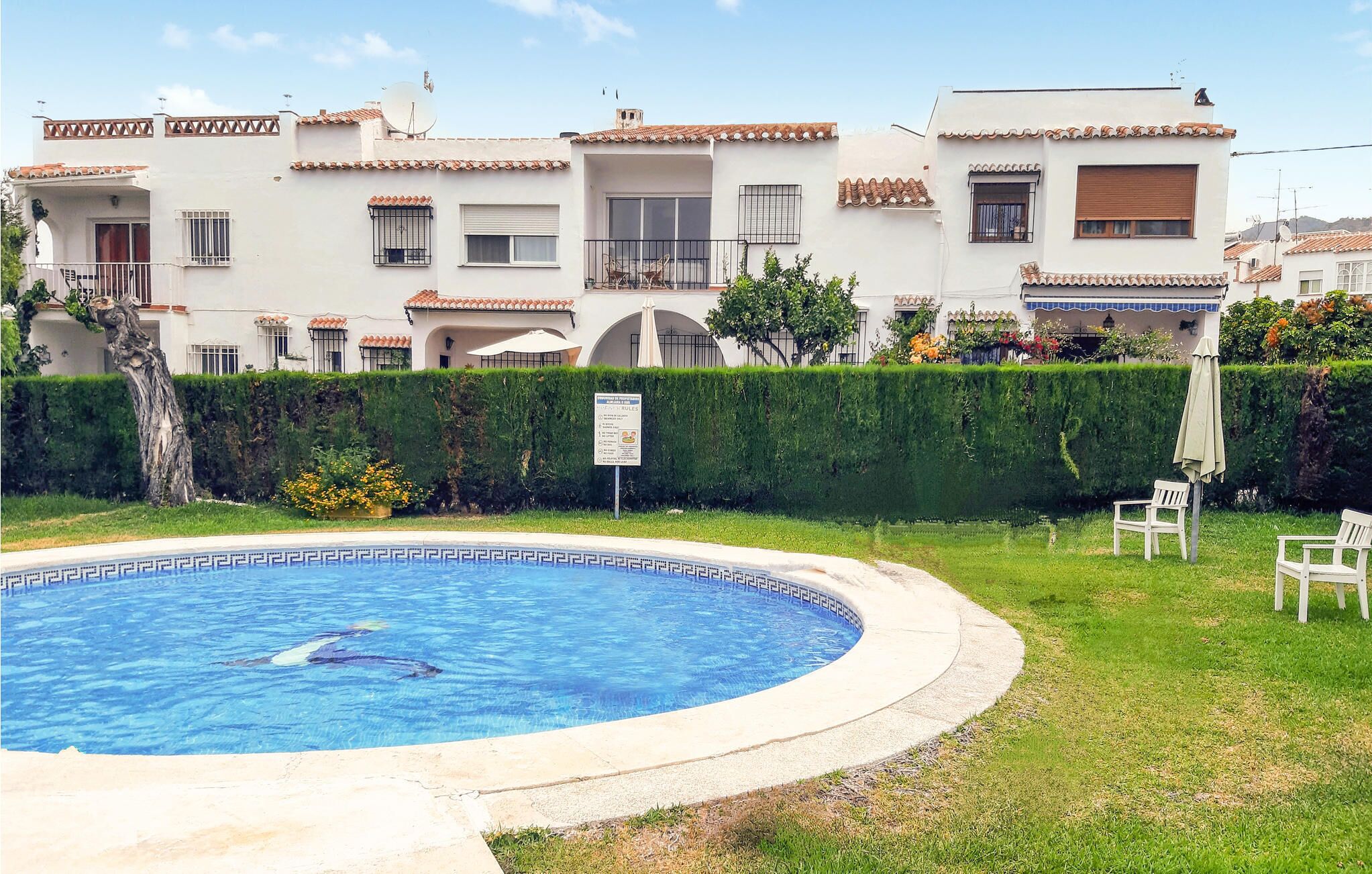 A swimming pool with a tiled edge, surrounded by a well-maintained lawn and a hedge.
